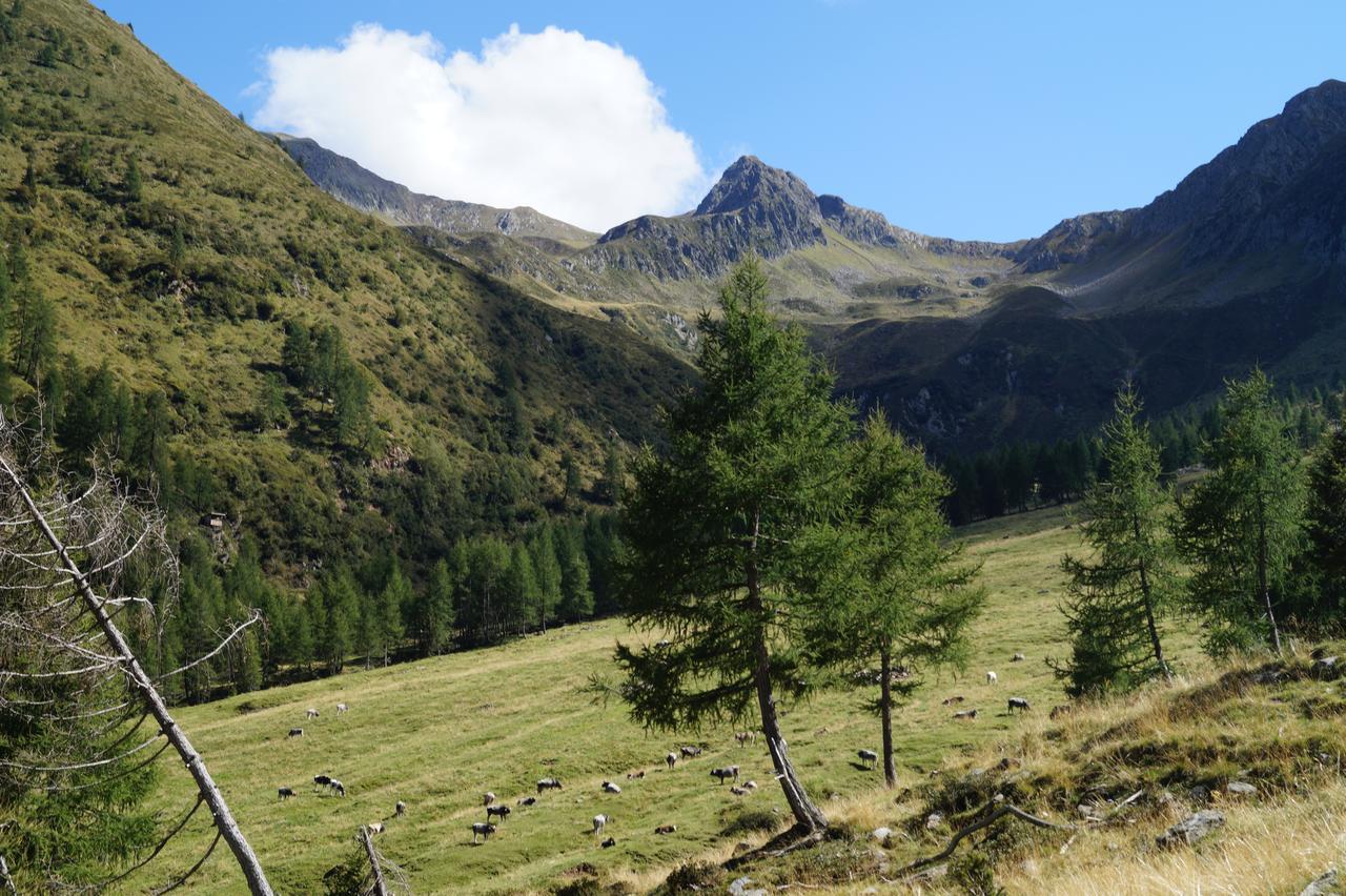Gasthof Innerwalten San Leonhard in Passeier Exteriör bild